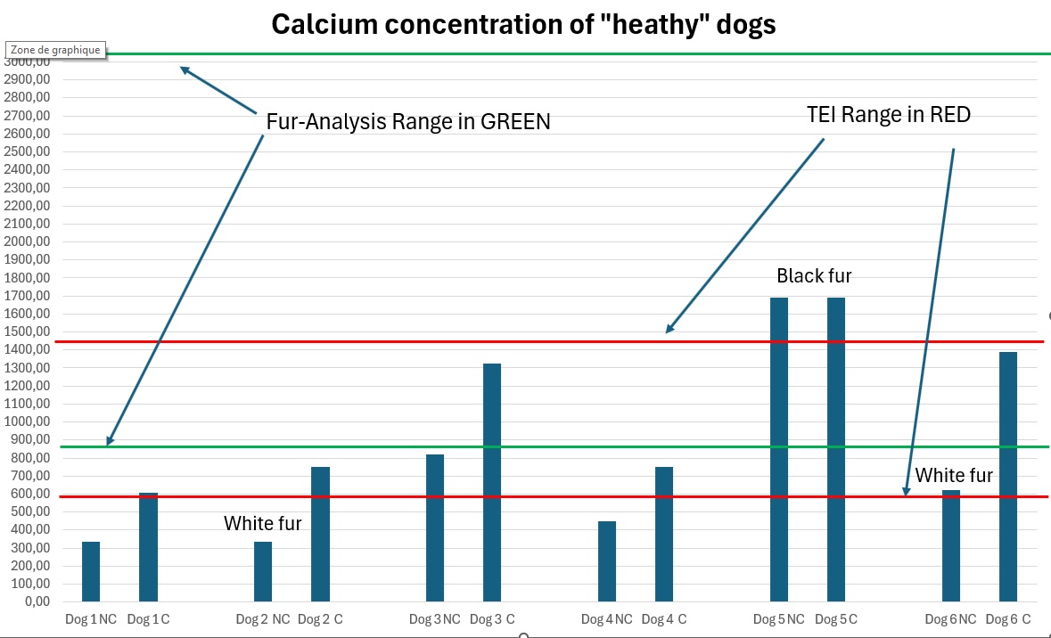 Calciumkonzentration bei gesunden Hunden – Fellanalyse-Bereich und TEI-Bereich